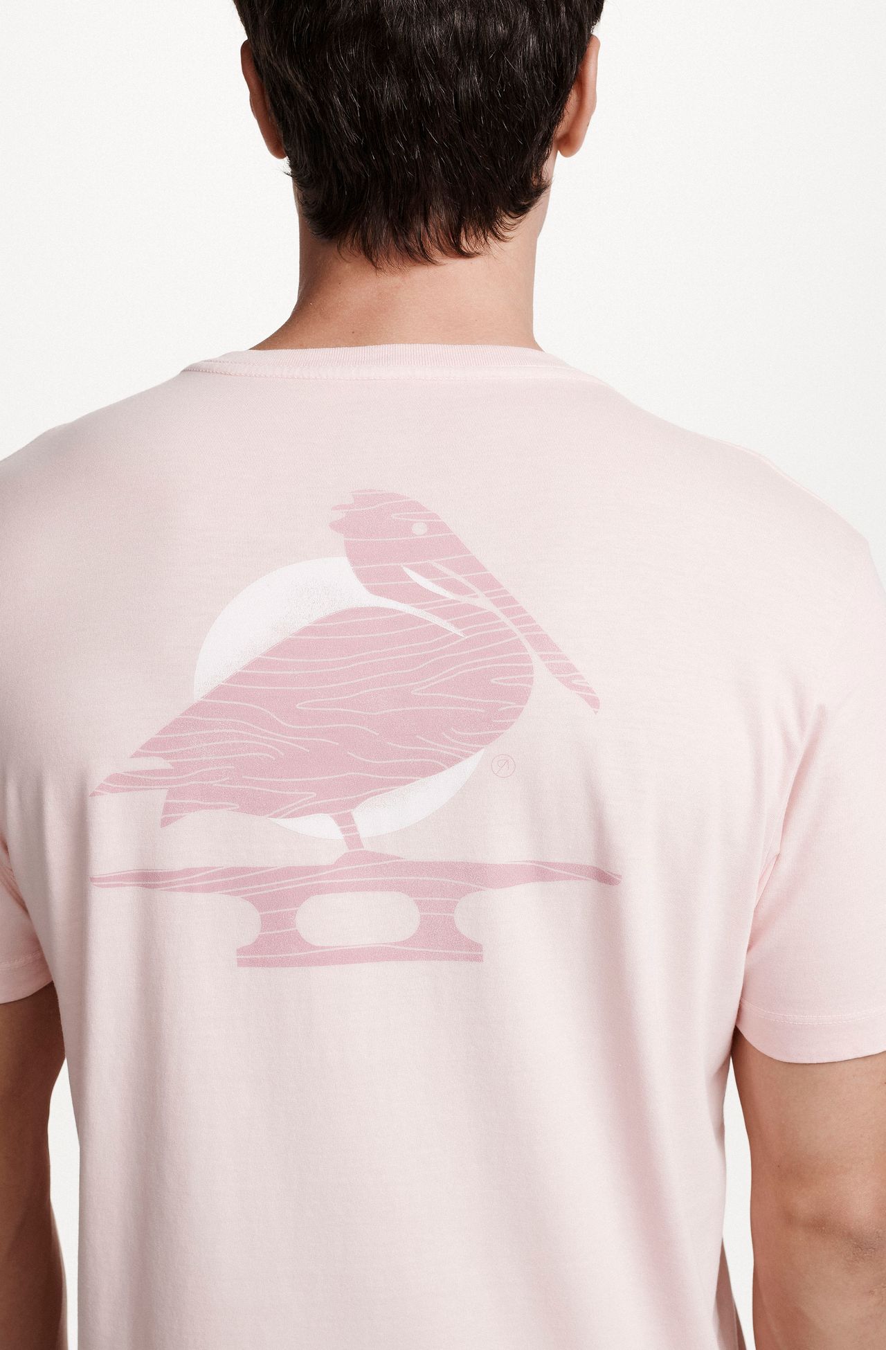 8353CCZ00239_220_1-T-SHIRT-MANGA-CURTA--ESTAMPA--PELICANO-DE-ALGODAO-ROSA