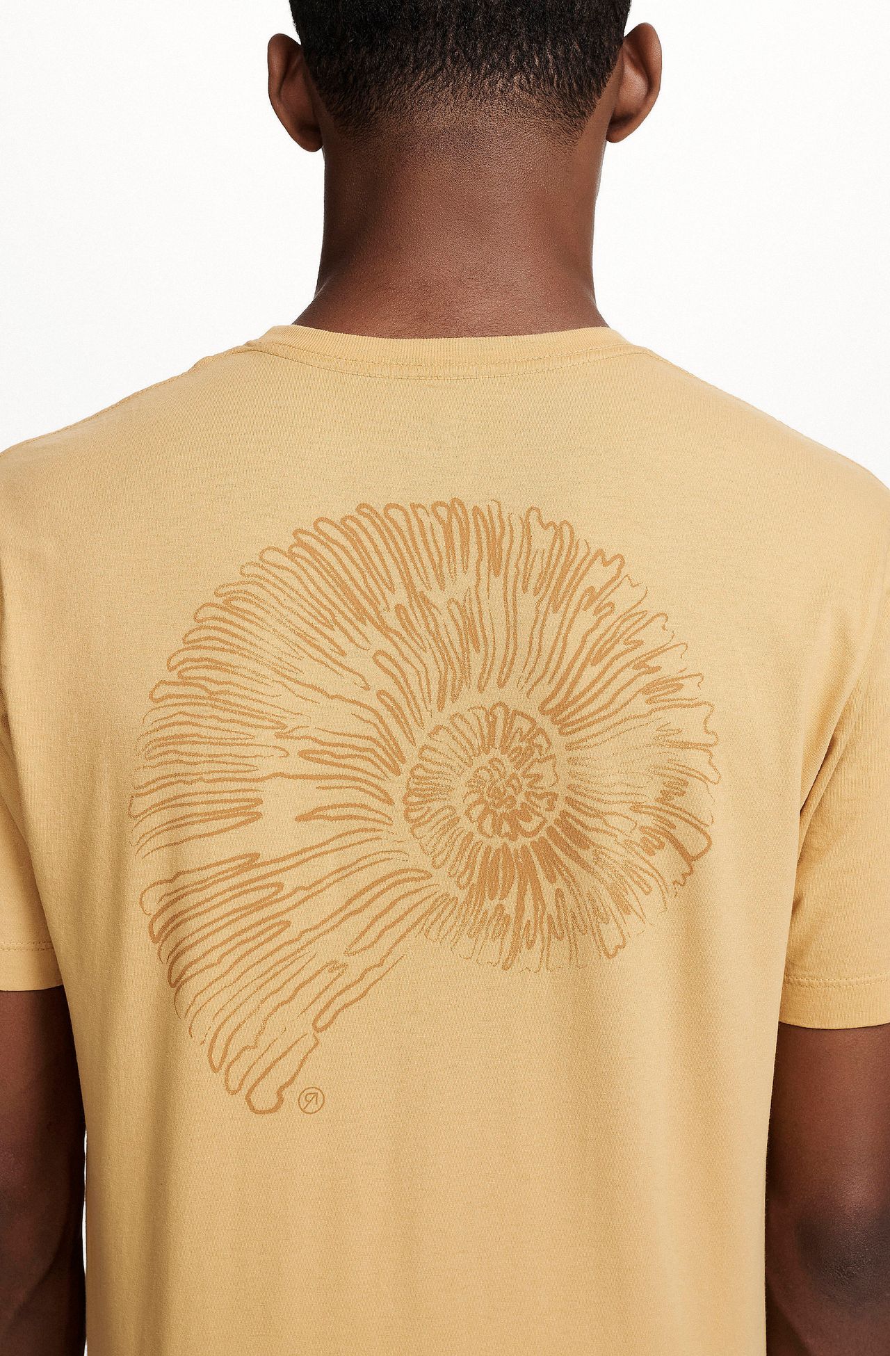 8353CCZ00251_145_1-T-SHIRT-MANGA-CURTA-ESTAMPA-CONCHA-DE-ALGODAO-AMARELO