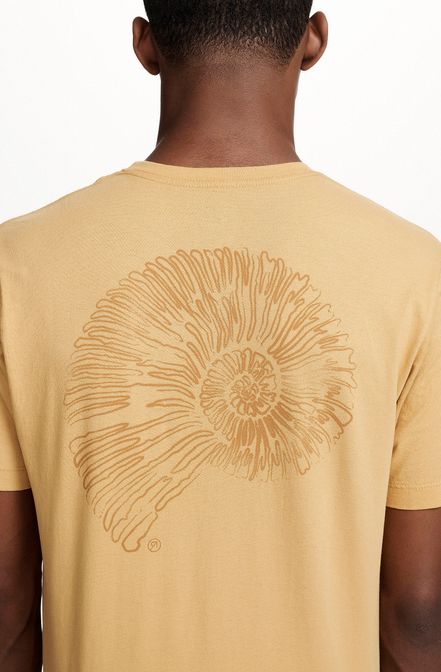 8353CCZ00251_145_1-T-SHIRT-MANGA-CURTA-ESTAMPA-CONCHA-DE-ALGODAO-AMARELO