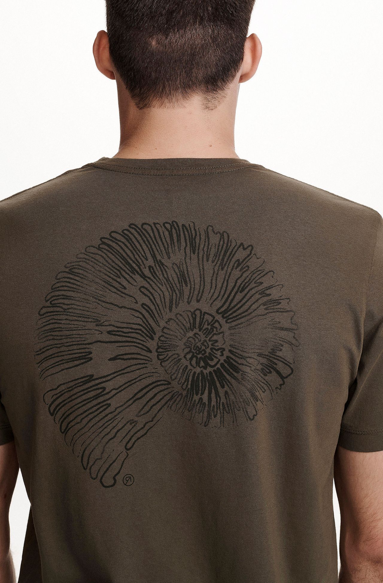 8353CCZ00251_690_1-T-SHIRT-MANGA-CURTA-ESTAMPA-CONCHA-DE-ALGODAO-AMARELO