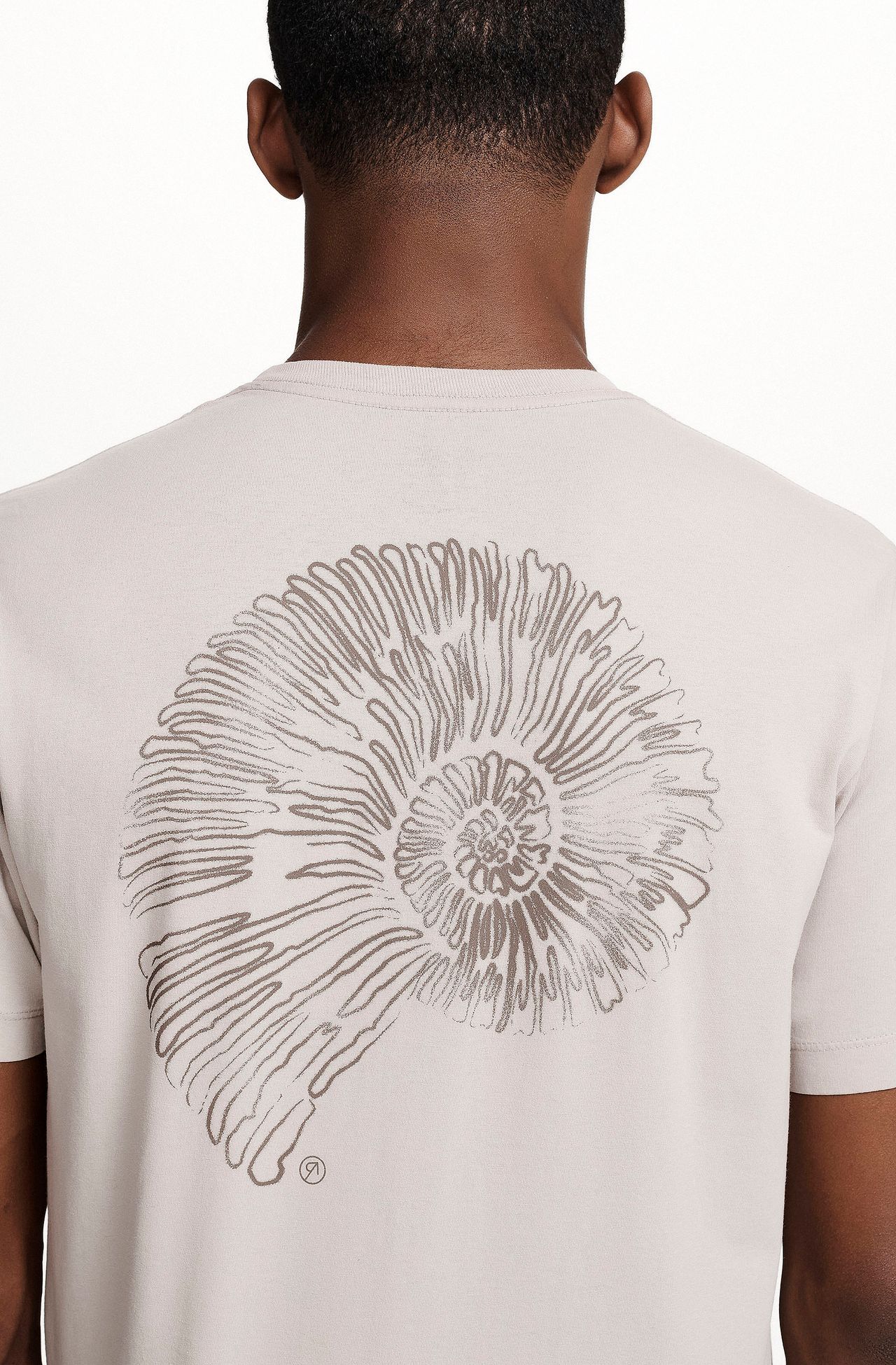 8353CCZ00251_710_1-T-SHIRT-MANGA-CURTA-ESTAMPA-CONCHA-DE-ALGODAO-AMARELO