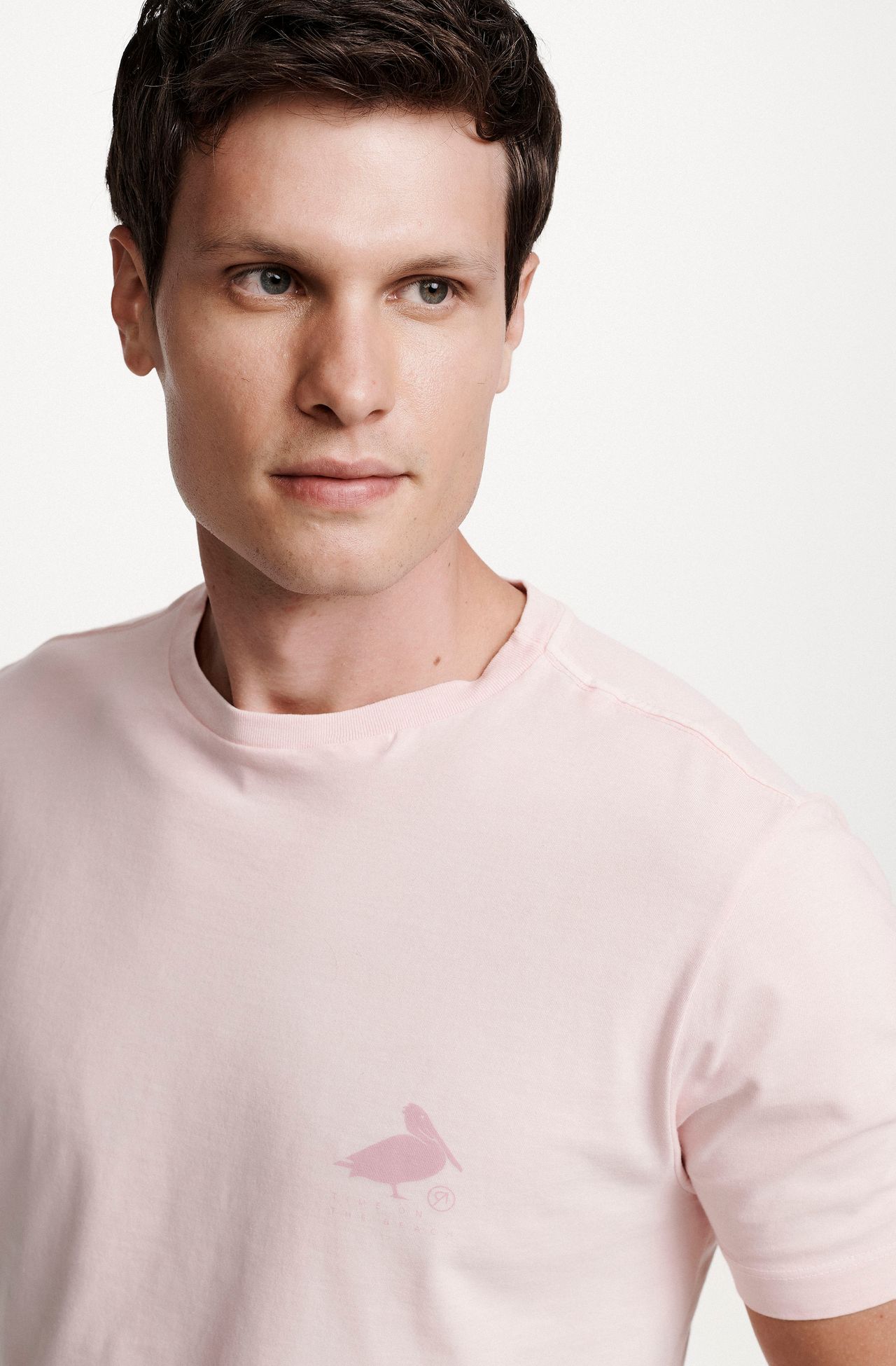 8353CCZ00239_220_4-T-SHIRT-MANGA-CURTA--ESTAMPA--PELICANO-DE-ALGODAO-ROSA