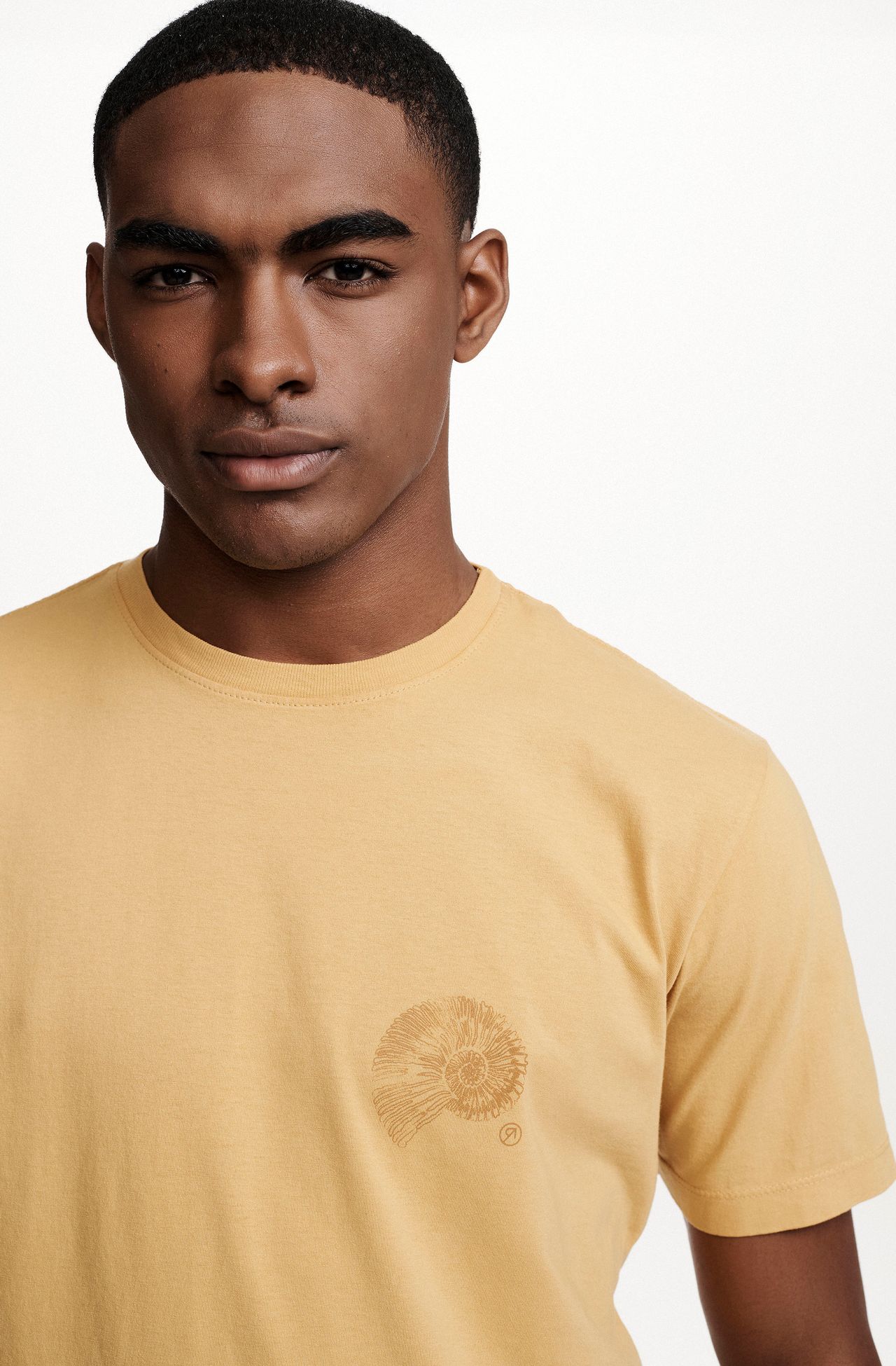 8353CCZ00251_145_4-T-SHIRT-MANGA-CURTA-ESTAMPA-CONCHA-DE-ALGODAO-AMARELO
